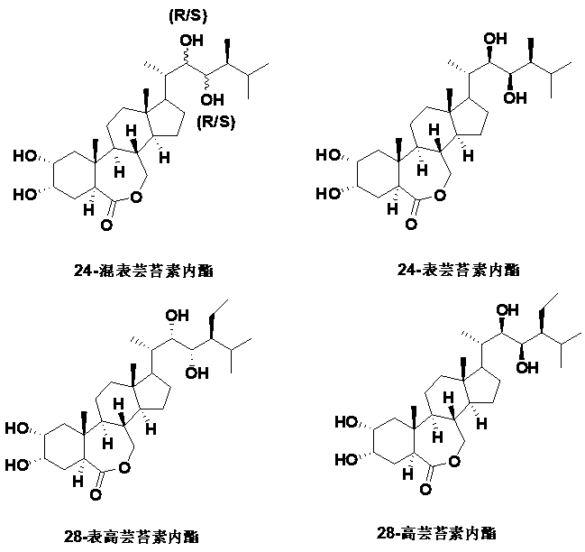 Preparation method with four-step synthesis of 28-homobrassinolide