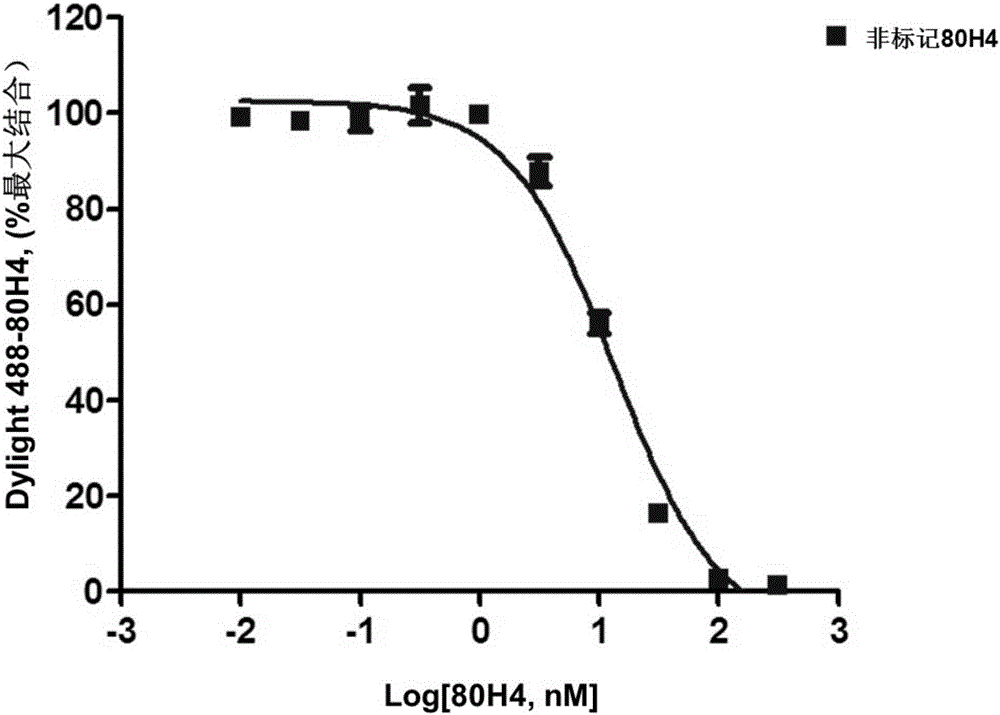 Method for detecting affinity of monoclonal antibodies of transmembrane proteins