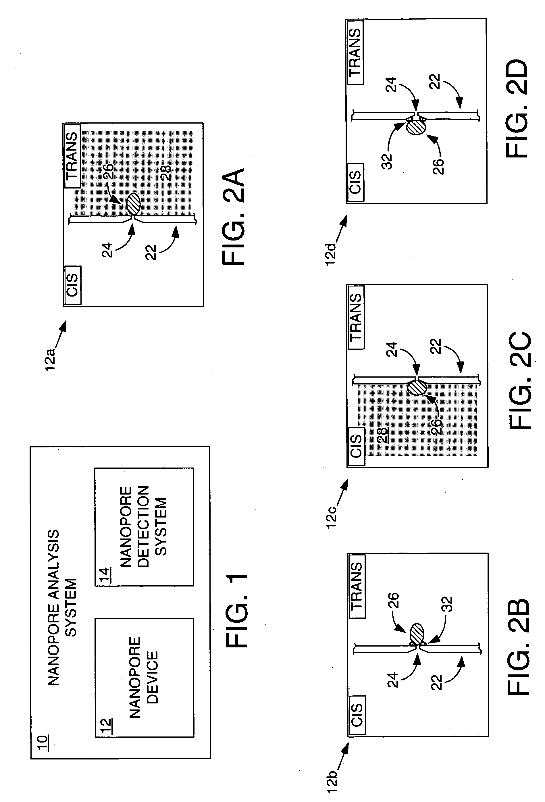 Methods and apparatus for characterizing polynucleotides