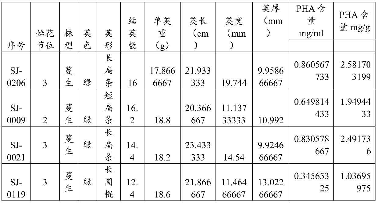 Phaseolus vulgaris L. germplasm improvement method