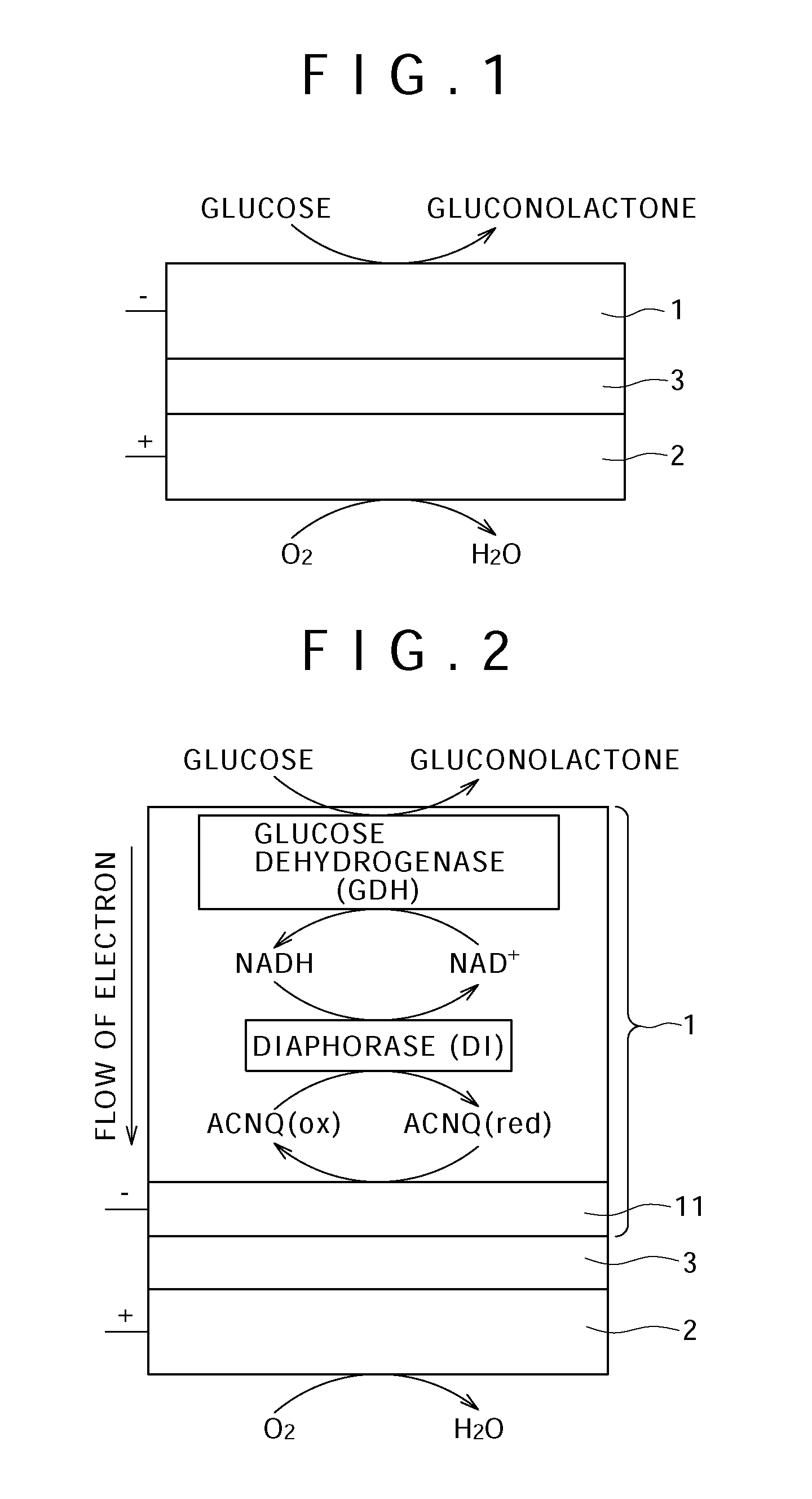 Fuel cell, manufacturing method thereof, electronic apparatus, enzyme-immobilized electrode, manufacturing method thereof, water-repellent agent, and enzyme immobilizing material