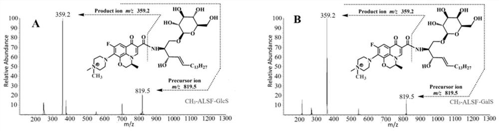 Multi-channel mass spectrometry derivatization reagent for detecting sphingosine glucoside and sphingosine galactoside and its preparation method and application