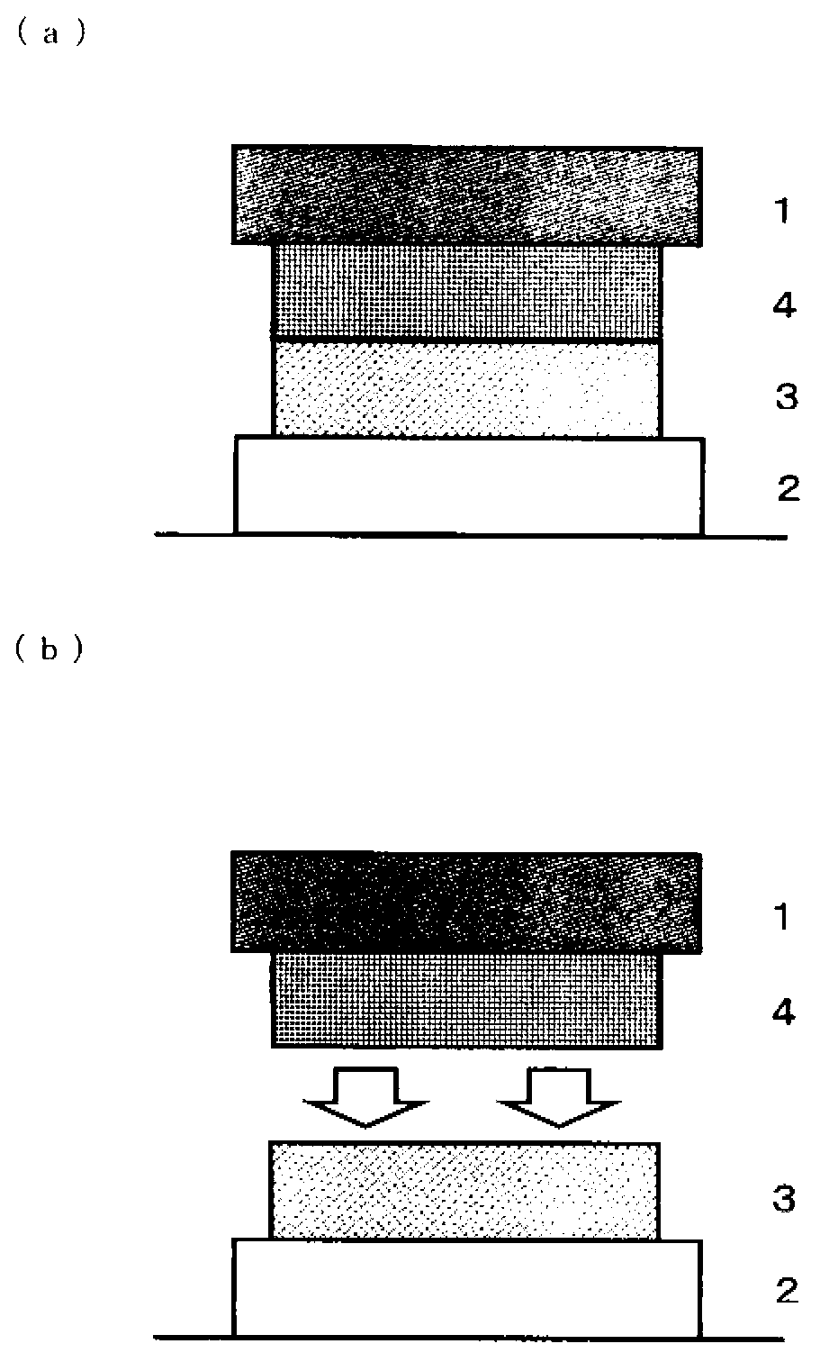 Conductive adhesive composition, electronic device, positive electrode laminate, and method for manufacturing electronic device