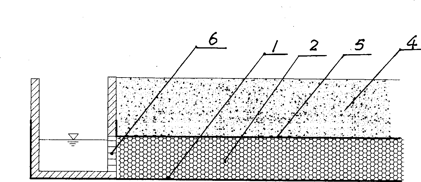 Sucking irrigation method with mulching under soil