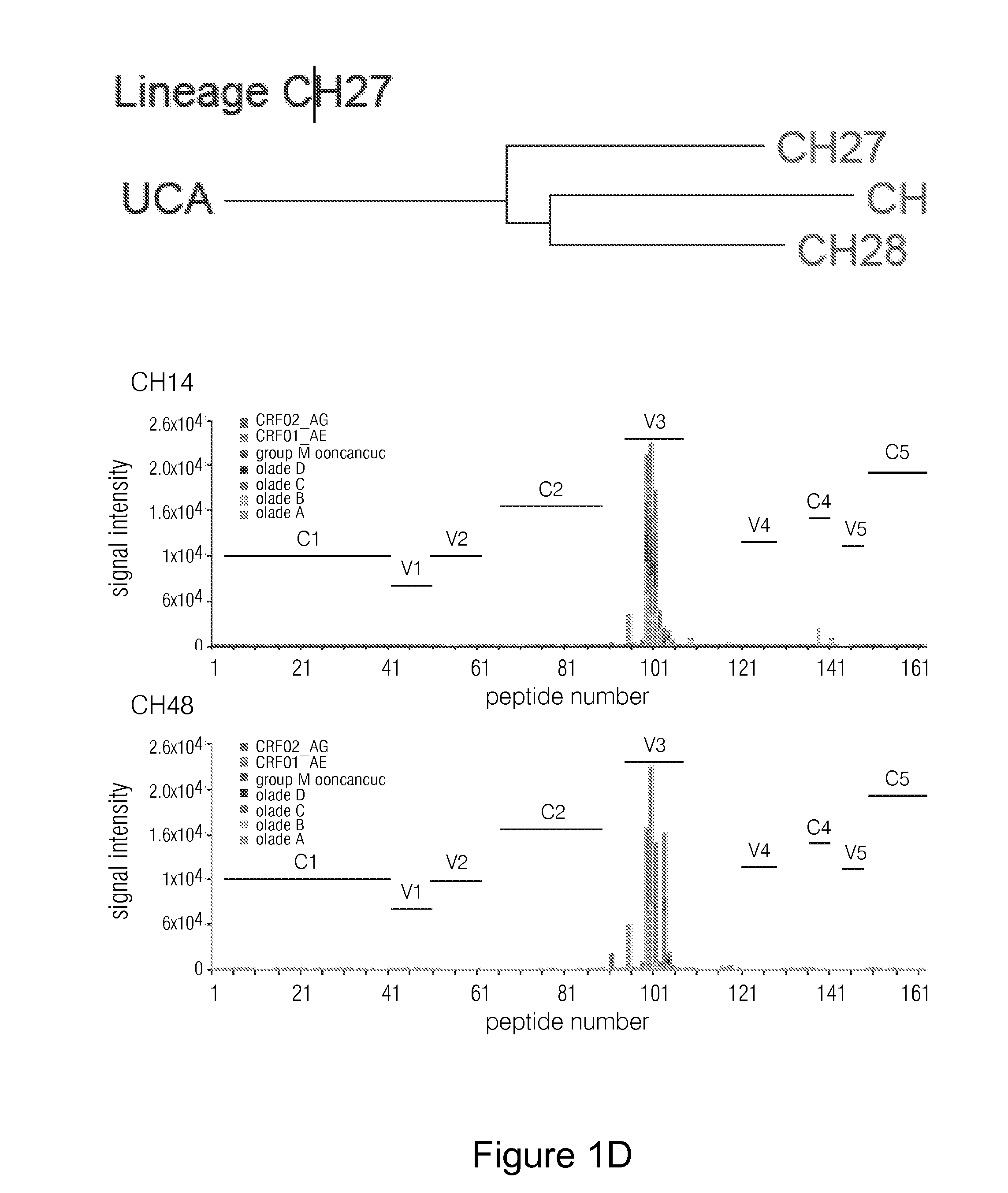 Human monoclonal antibodies