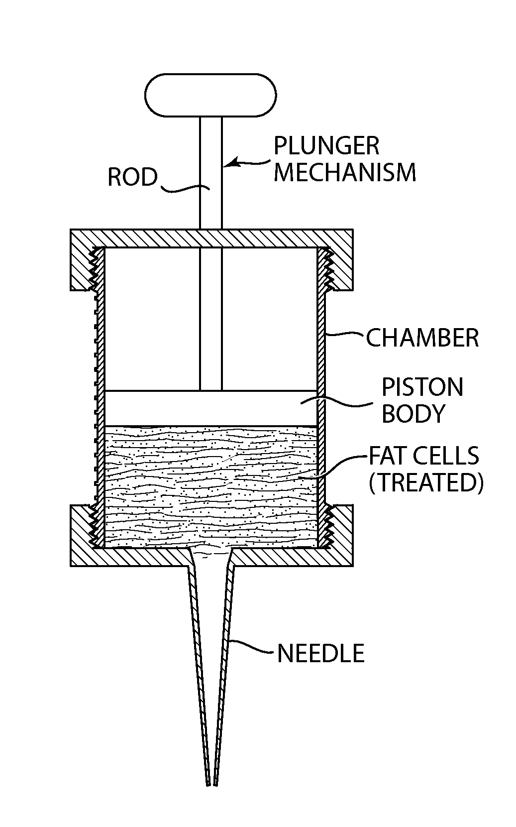 System and apparatus for cell treatment