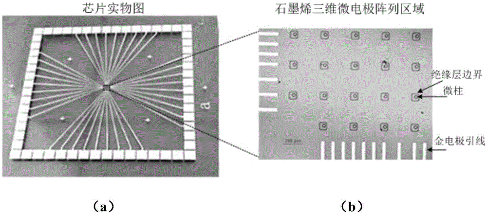 Graphene three-dimensional microelectrode array chip, and method and application thereof