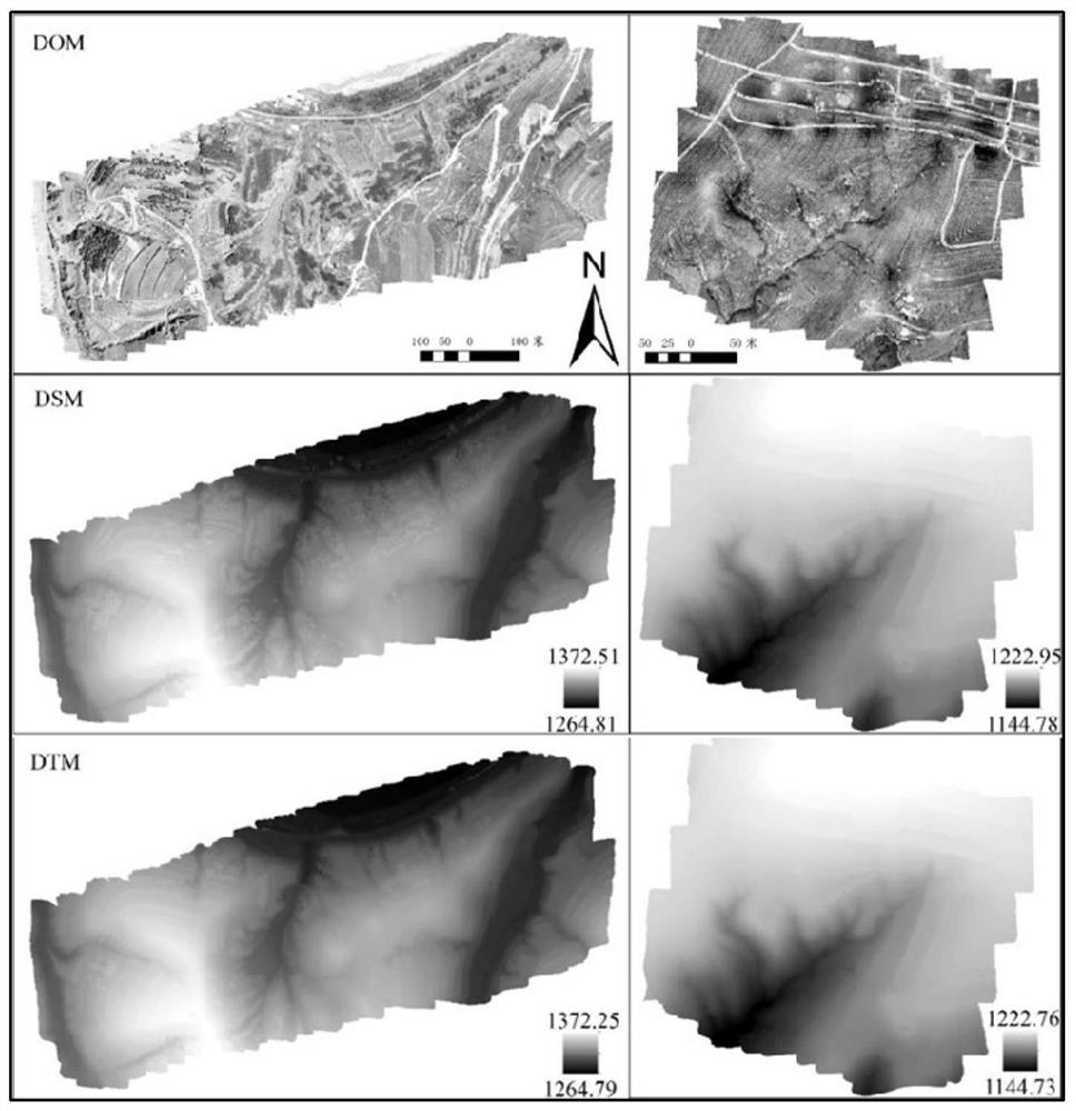 Vegetation diversity detection method based on consumer-level unmanned aerial vehicle