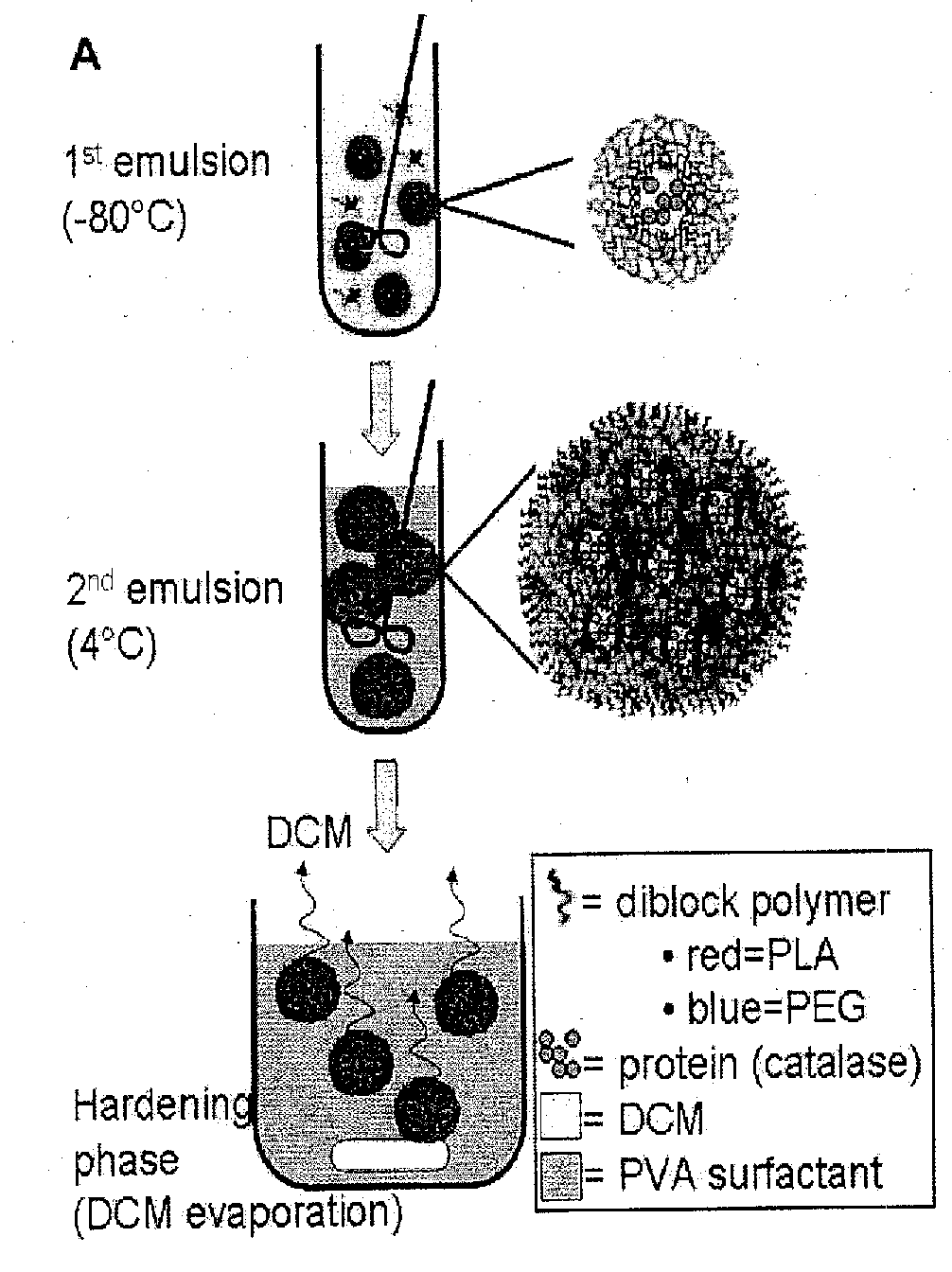 Method and compositions for polymer nanocarriers containing therapeutic molecules