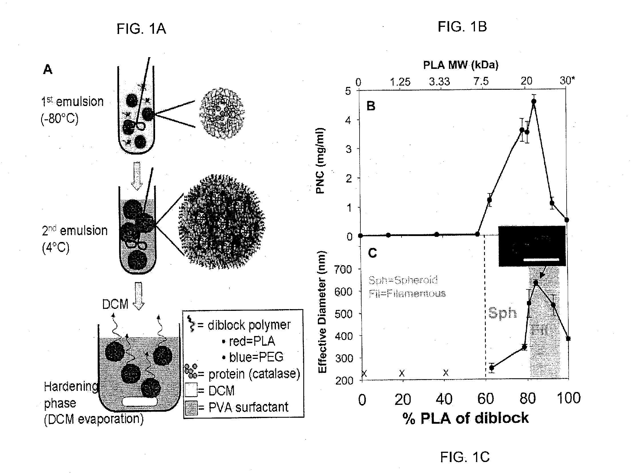 Method and compositions for polymer nanocarriers containing therapeutic molecules