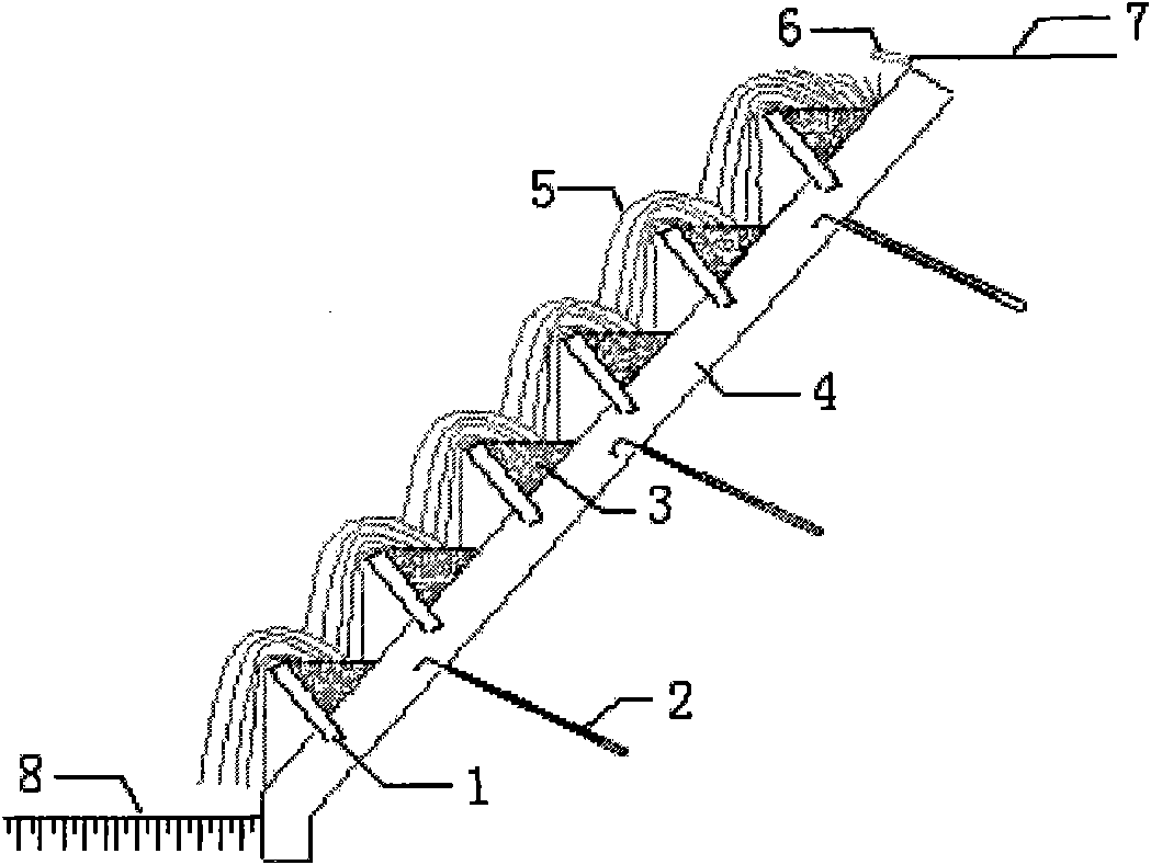 Method for protecting and greening rocky side slope