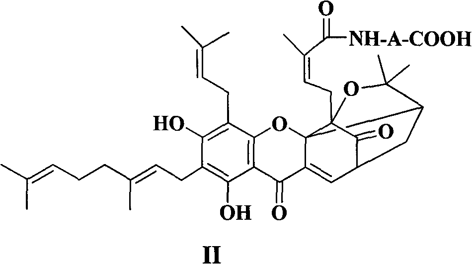 Neogambogic acid derivative, preparation method thereof and pharmaceutical application