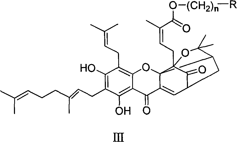 Neogambogic acid derivative, preparation method thereof and pharmaceutical application