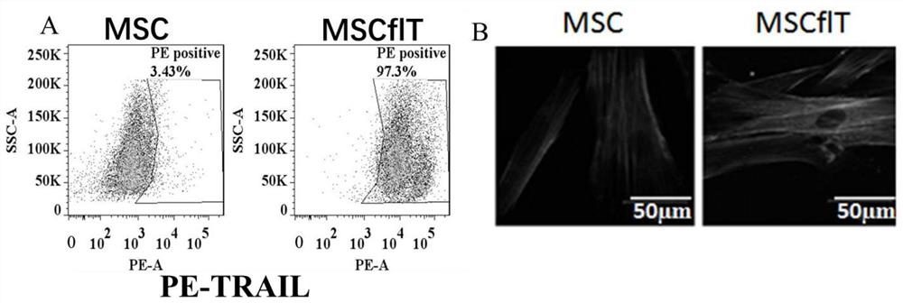 Method for preparing high-activity exosome through heterologous serum-free 3D culture of MSC stem cells