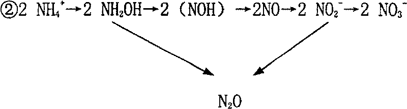 Disposable corn composite fertilizer and producing technique thereof