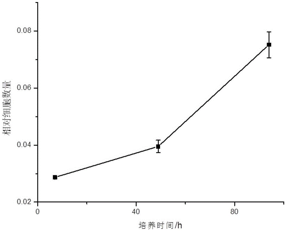 Improved separation preparation method for mouse thoracic aorta vascular smooth muscle cells