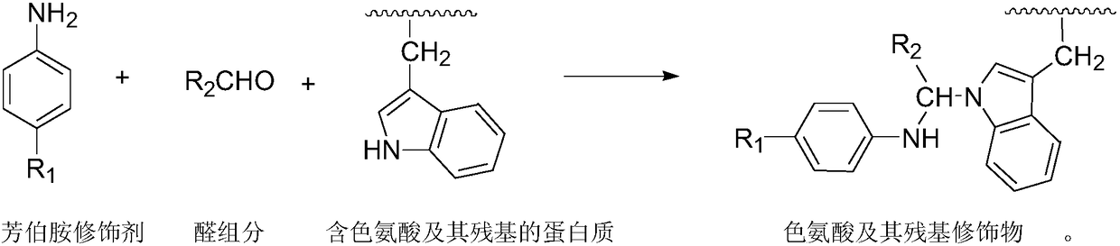 High selective chemical modification method for tryptophan and residues of tryptophan