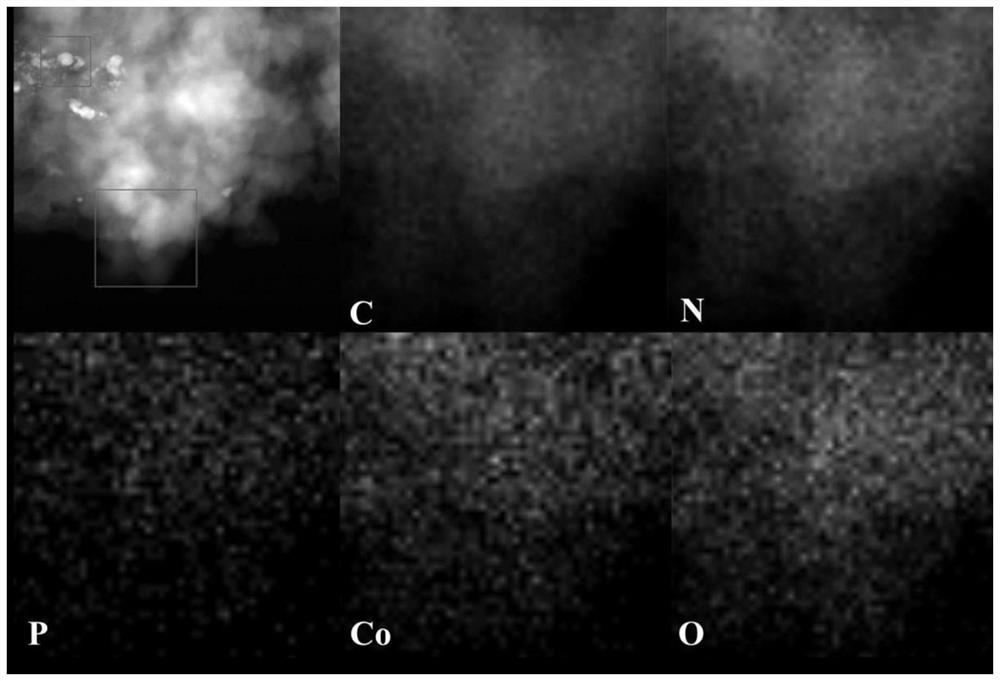 Nitrogen-and-phosphorus co-doped carbon-based cobalt catalyst and preparation method thereof, and synthetic method of saturated aliphatic primary amine