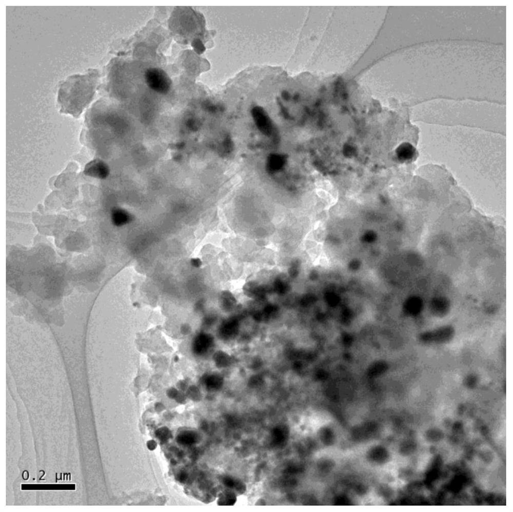 Nitrogen-and-phosphorus co-doped carbon-based cobalt catalyst and preparation method thereof, and synthetic method of saturated aliphatic primary amine