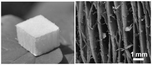 Wooden sponge oil-absorbing material and preparation method thereof