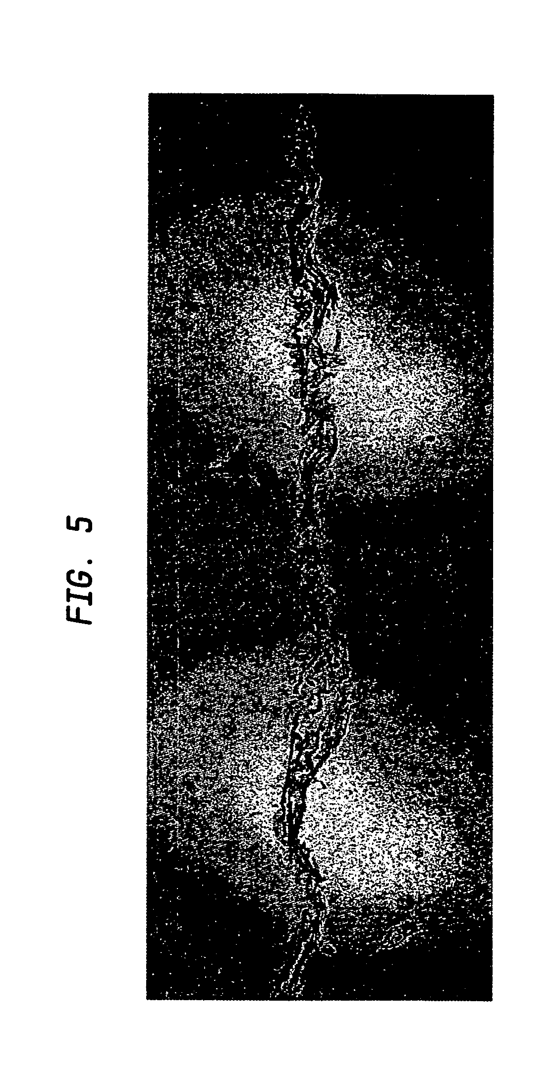 Method of making fabric-creped sheet for dispensers