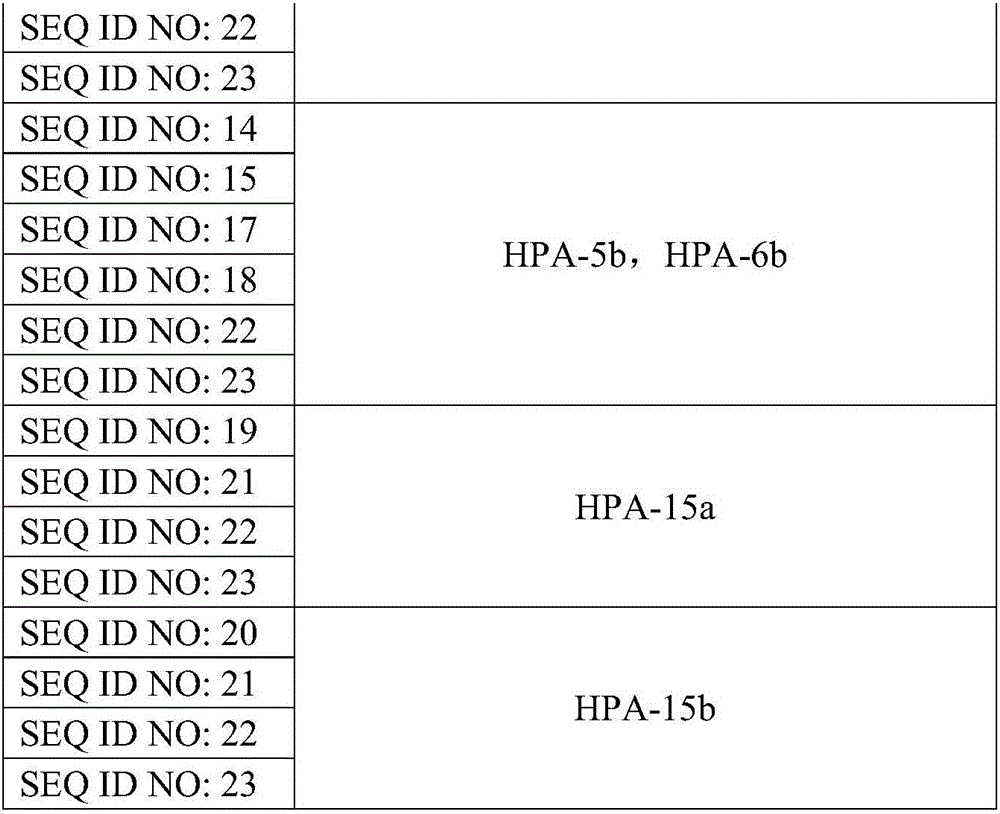 Multi-PCR (polymerase chain reaction) detection method and reagent kit for blood types of human blood platelets