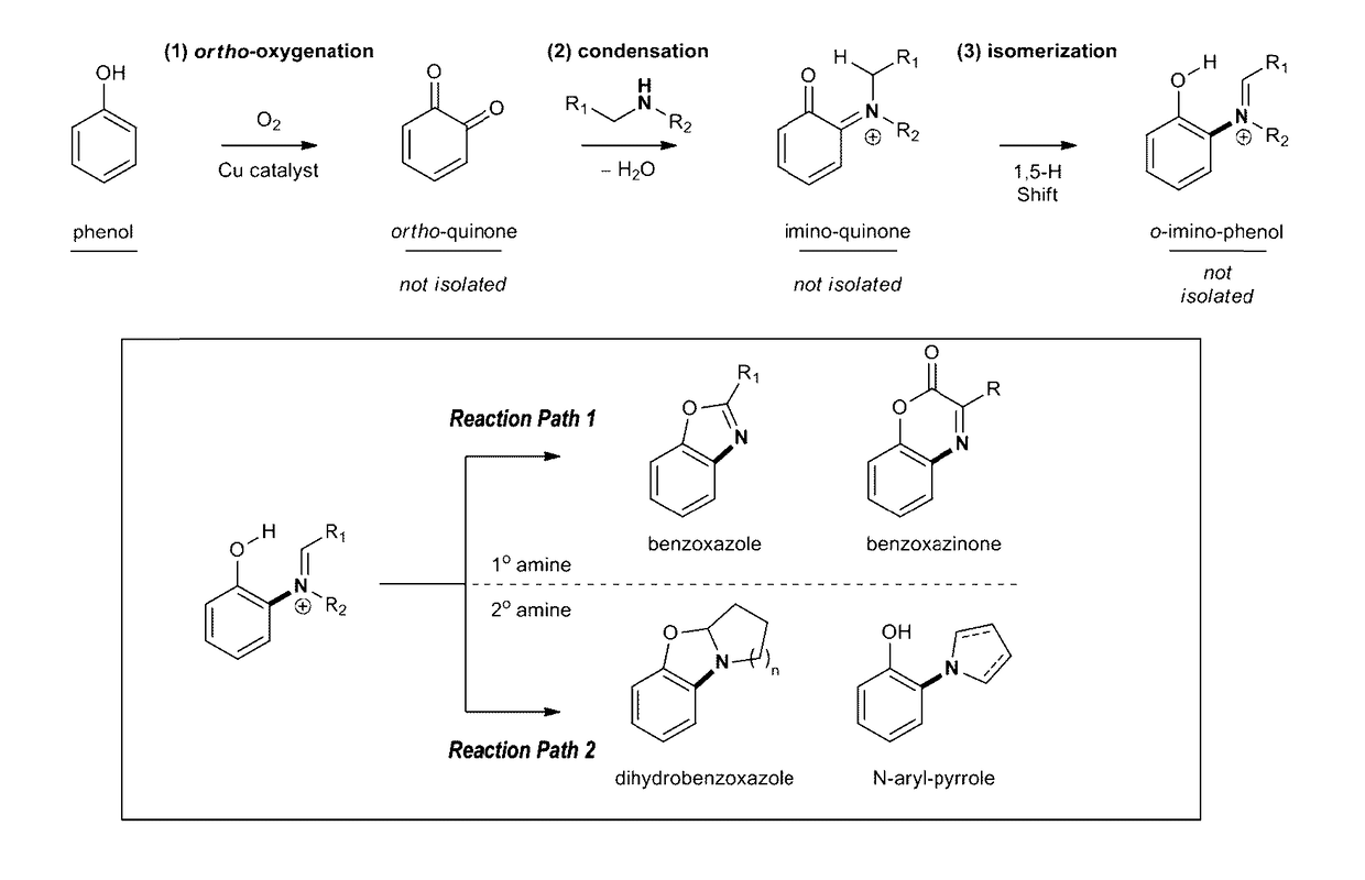 Method for producing an arene with an aromatic c-n bond ortho to an aromatic c-o bond