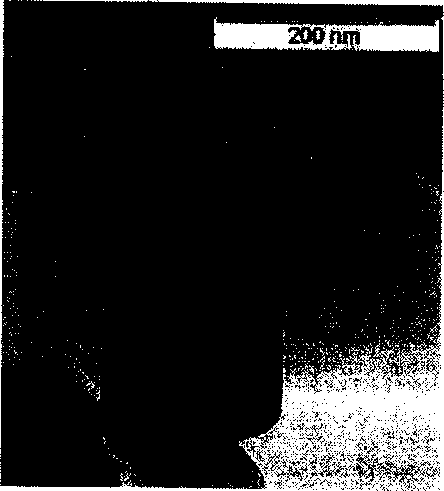 Toner for developing electrostatic latent image and image forming method using the same