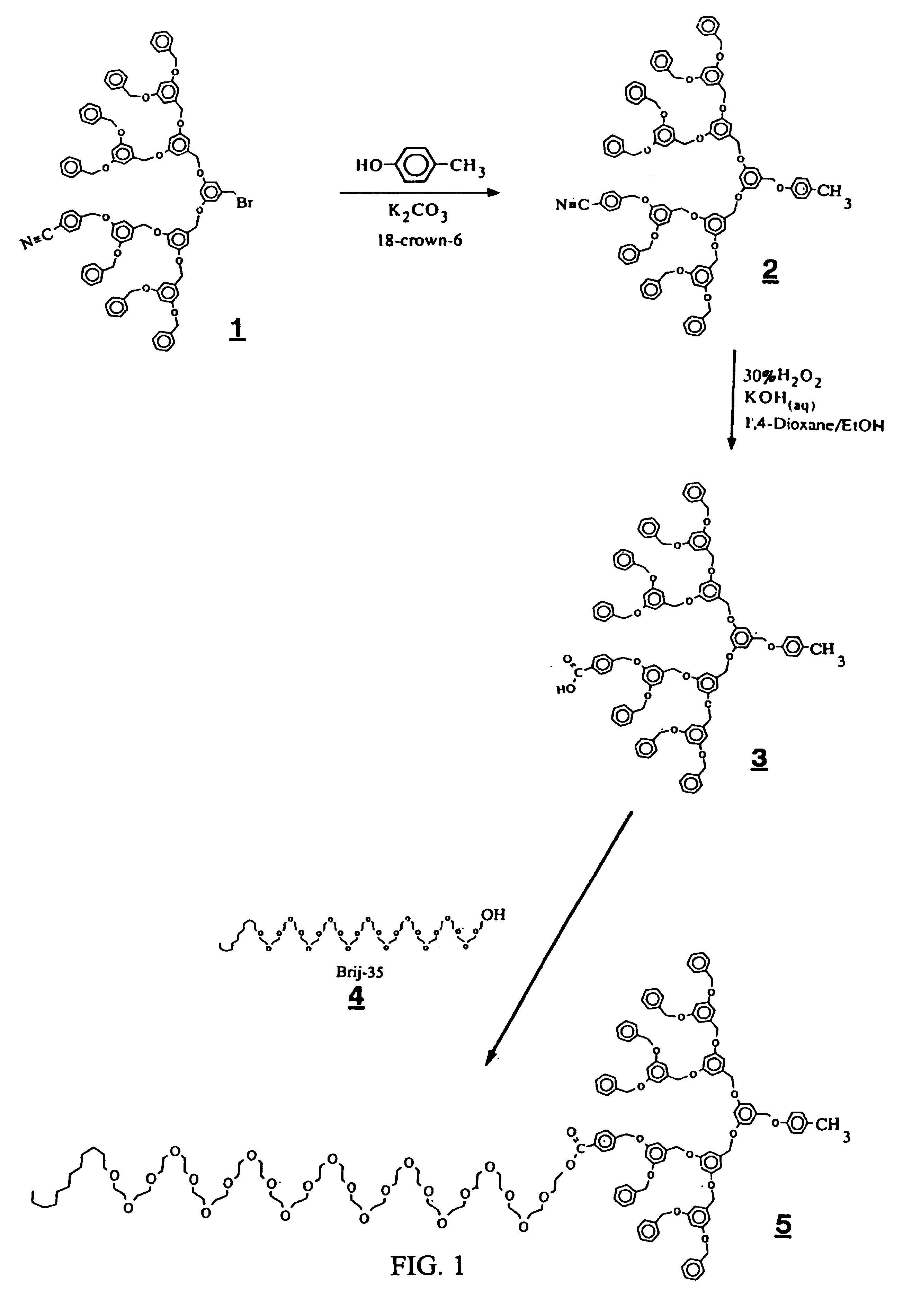 Dendritic based macromolecules
