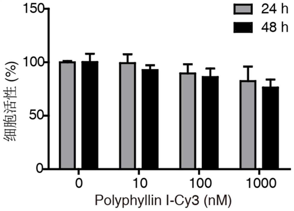 Application of polyphyllin I in lysosome detection