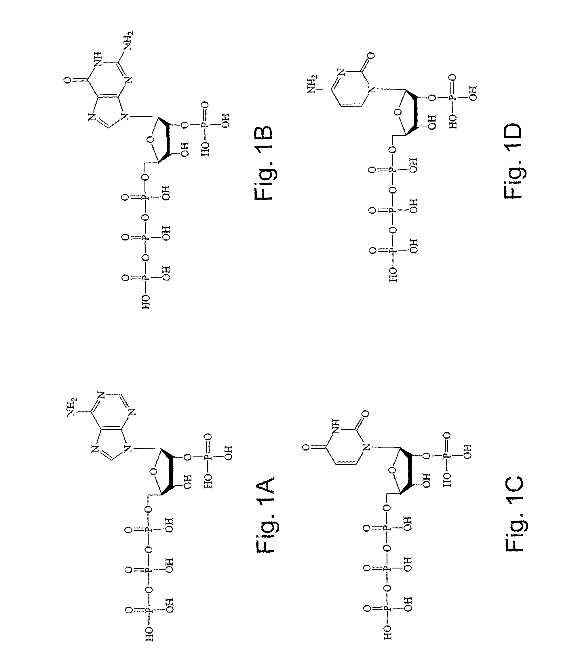 2′-Terminator nucleotide-related methods and systems