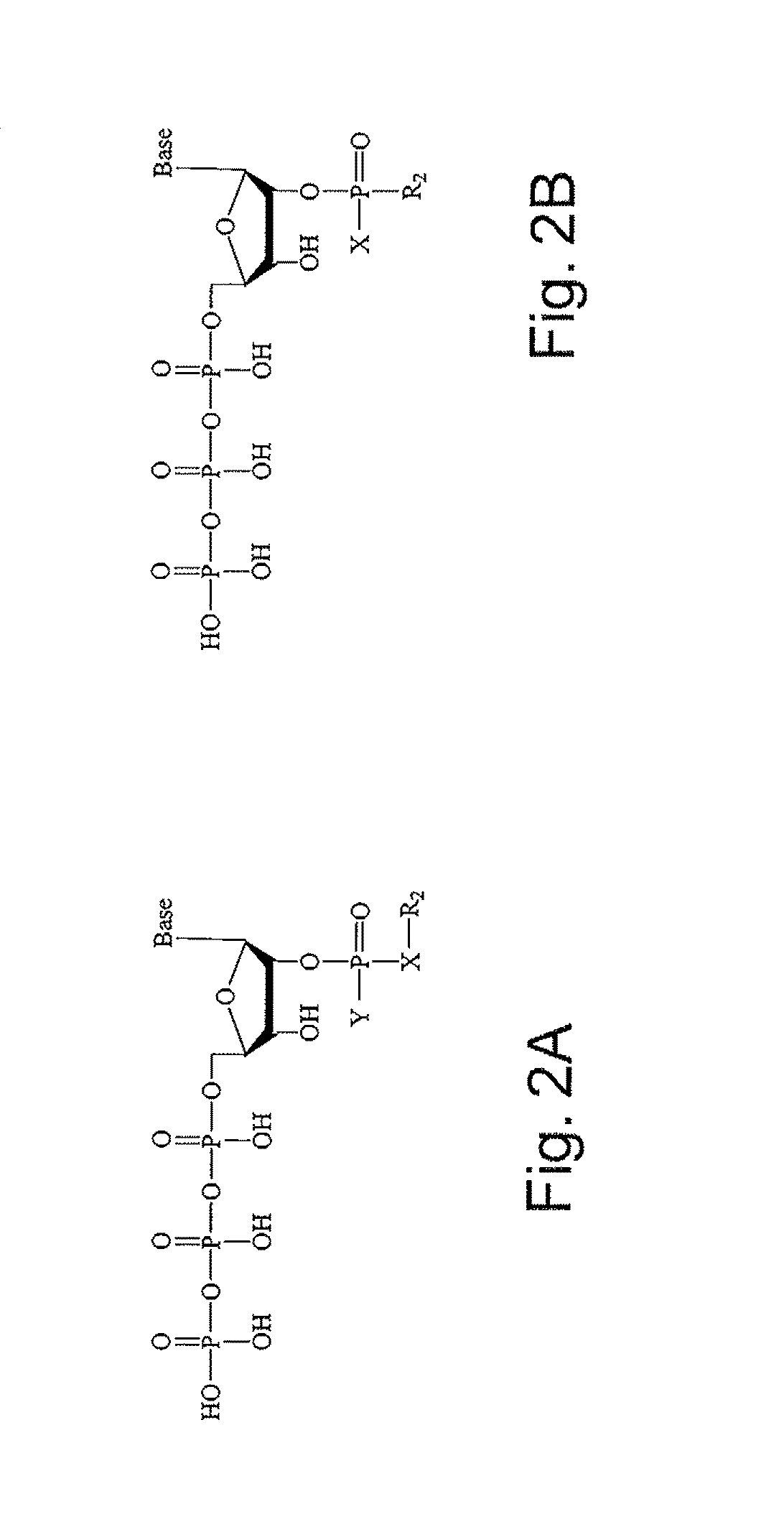 2′-Terminator nucleotide-related methods and systems