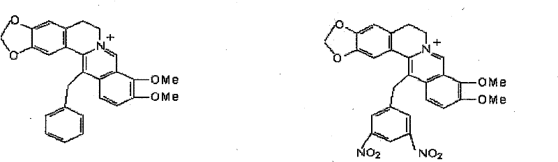 Synthetic method of berberine 13-bit derivant and berberrubine 13-bit derivant