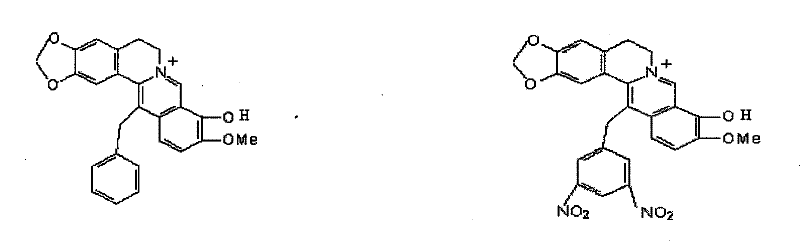 Synthetic method of berberine 13-bit derivant and berberrubine 13-bit derivant