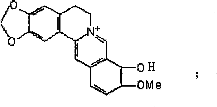 Synthetic method of berberine 13-bit derivant and berberrubine 13-bit derivant