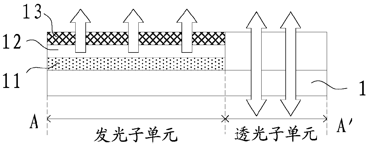 A transparent display panel and display device