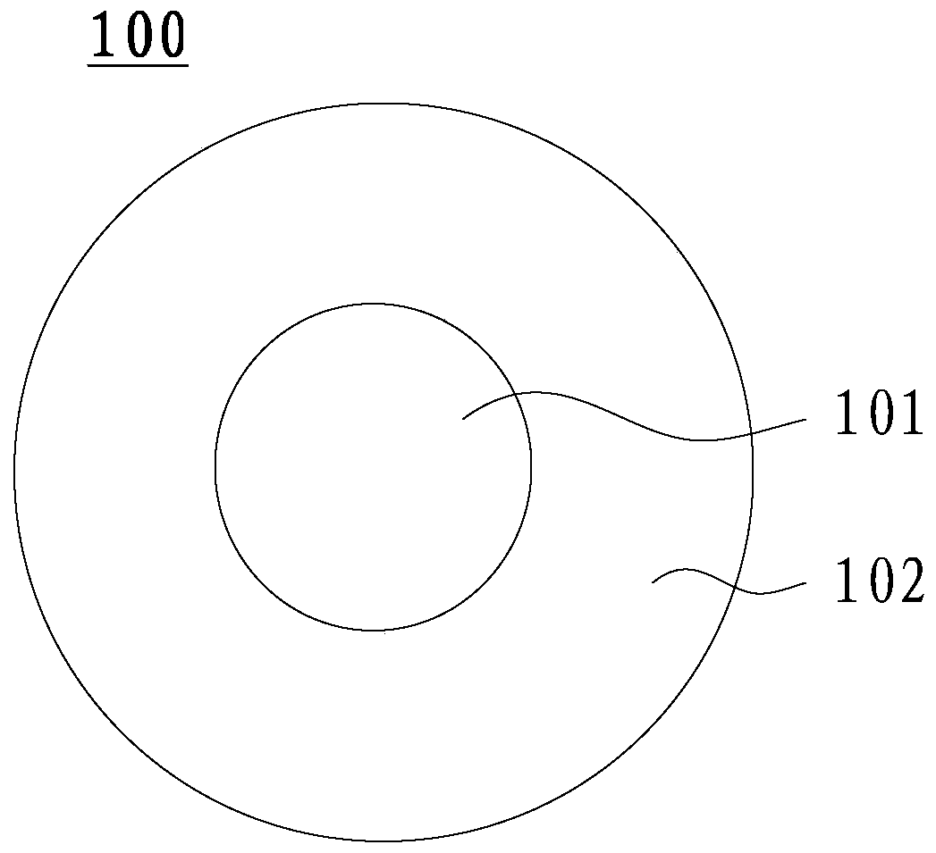 A transparent display panel and display device