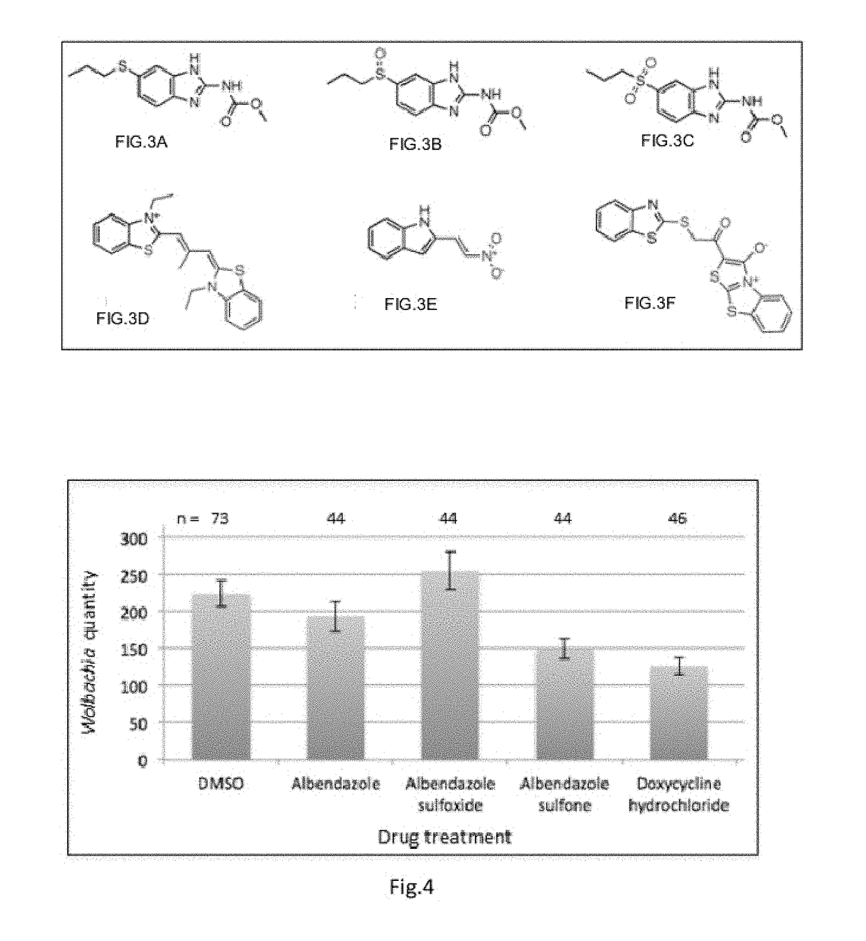 Compositions and Methods employing Wolbachia FtsZ as a target for Albendazole sulfone