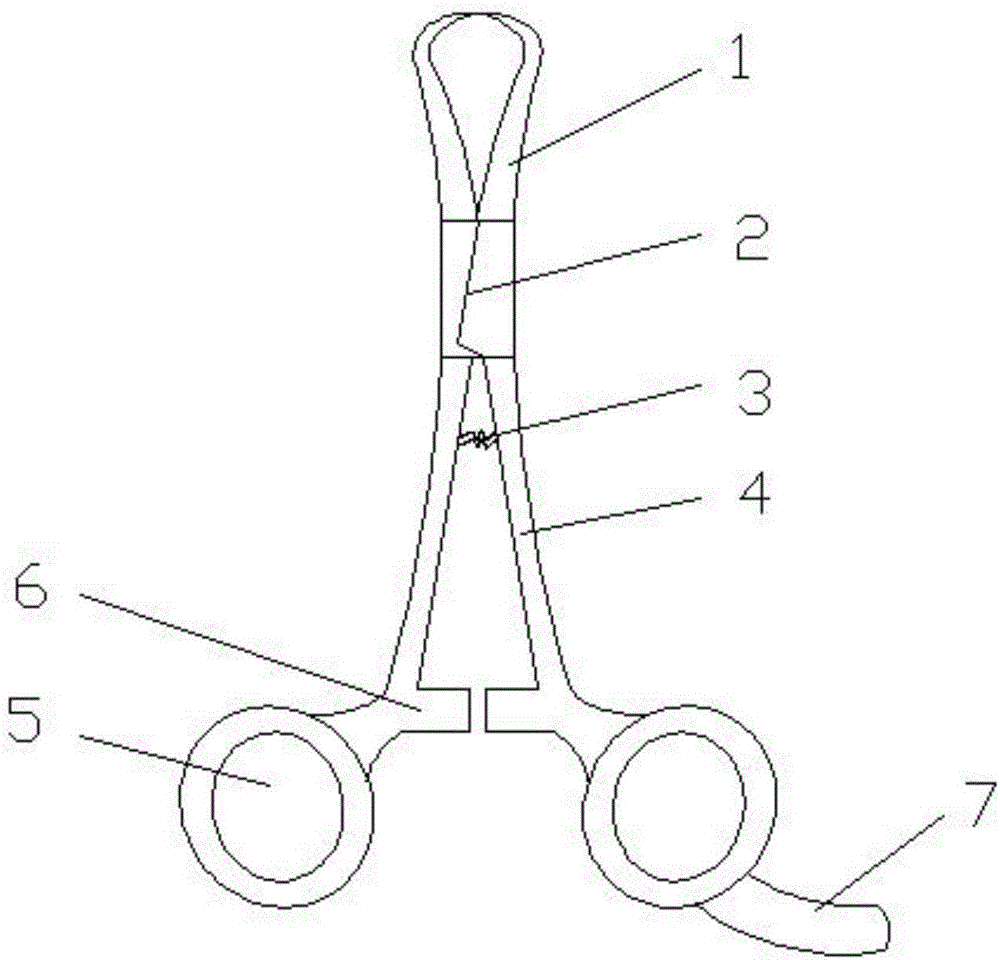 Operating forceps having radian