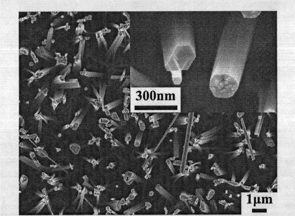 GaN nanowire array carrying functional groups and making method and application thereof