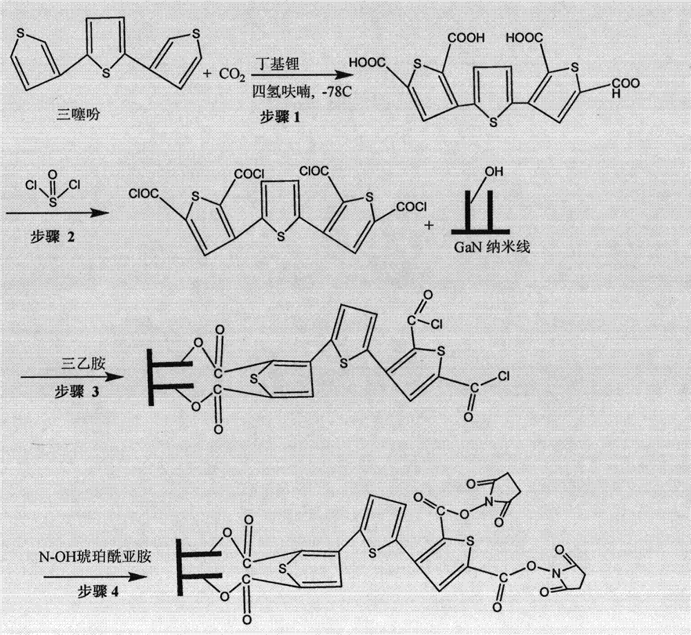 GaN nanowire array carrying functional groups and making method and application thereof