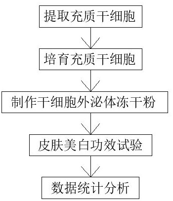 Method for researching skin whitening effect by adopting stem cell exosome