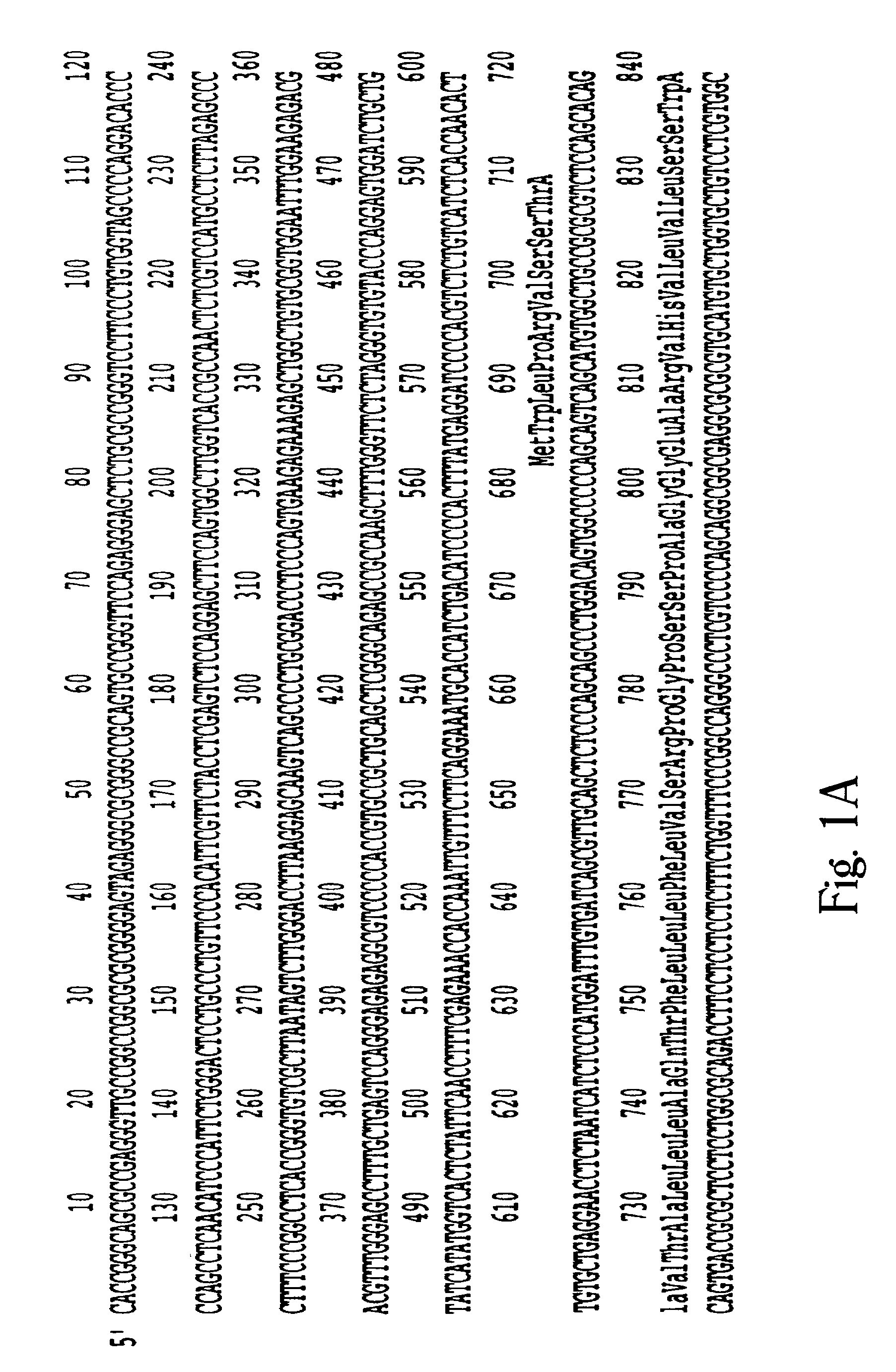 Methods of treating macular corneal dystrophy