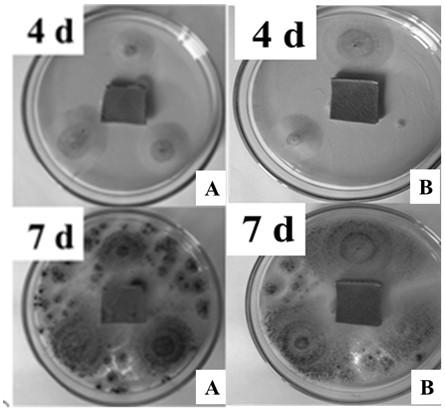 Nano-composite fatliquor based on alkyl glycoside and nano-silver synergistic anti-mold and preparation method thereof