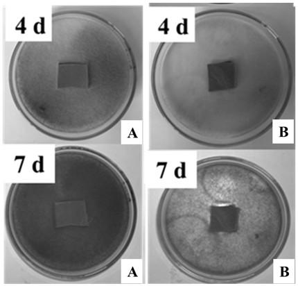 Nano-composite fatliquor based on alkyl glycoside and nano-silver synergistic anti-mold and preparation method thereof