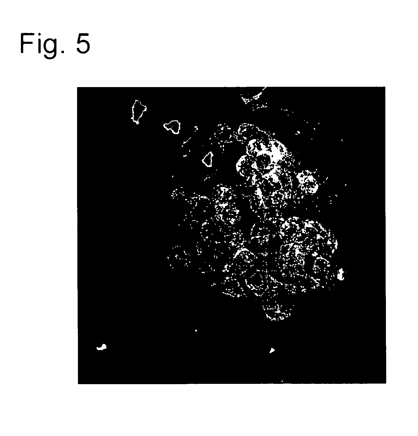 Cultured cell construct containing spheroids of cultured animal cells and utilization thereof