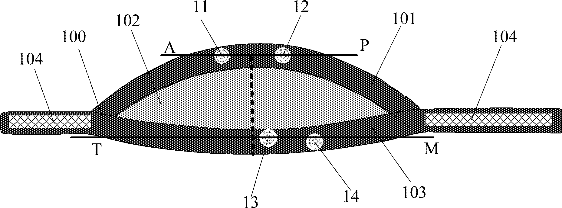 Device and method for acquiring heart sound