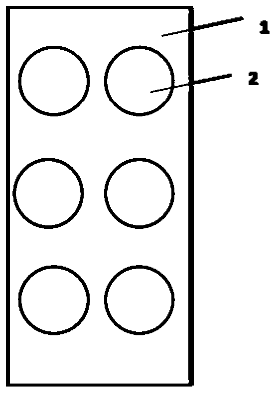 Gene chip with high-flux detection