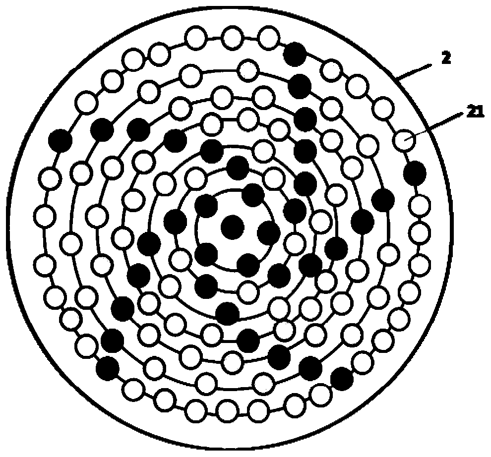 Gene chip with high-flux detection