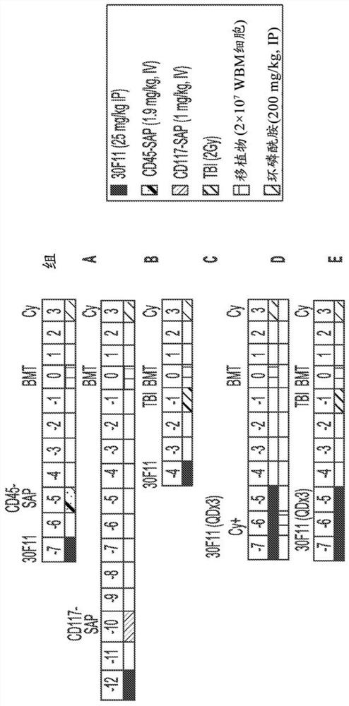 Methods for allogeneic hematopoietic stem cell transplantation